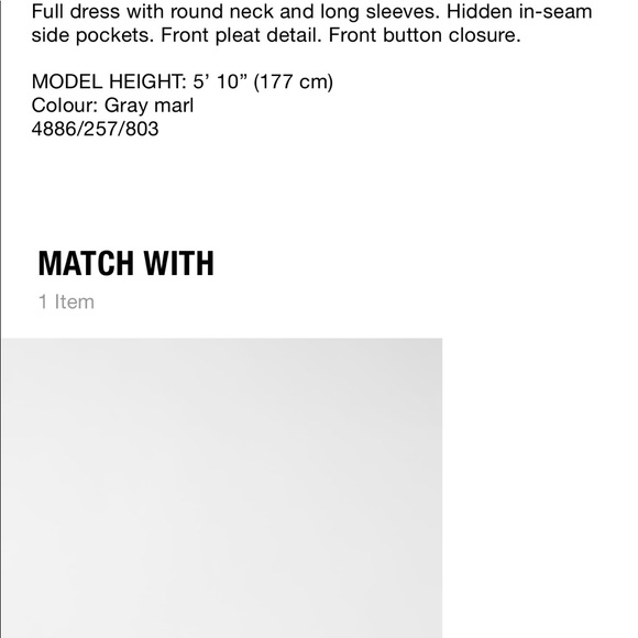 Zara oversized buttoned dress bloggers favorite - Picture 4 of 8